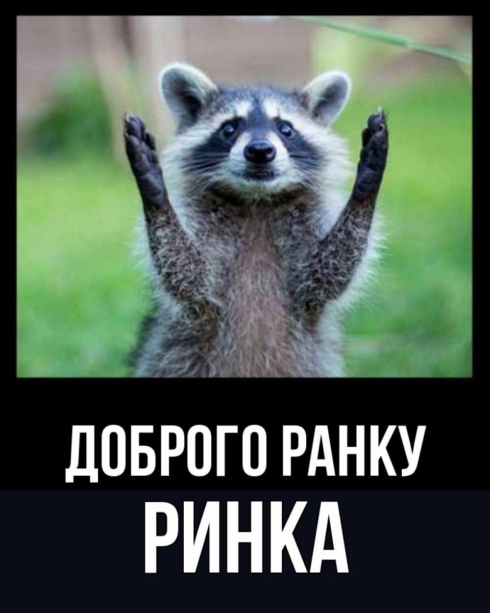 Открытка на каждый день з підписом, Ринка Доброго ранку хорошее настроение утречком Прикольна листівка з побажанням онлайн скачати безкоштовно 
