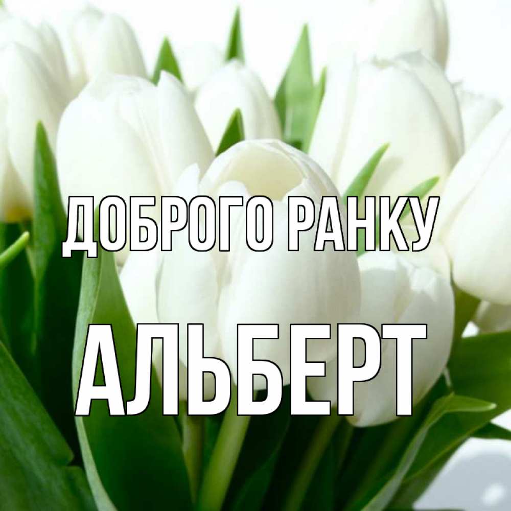 Открытка на каждый день з підписом, Альберт Доброго ранку открытки на каждый день по именам Прикольна листівка з побажанням онлайн скачати безкоштовно 