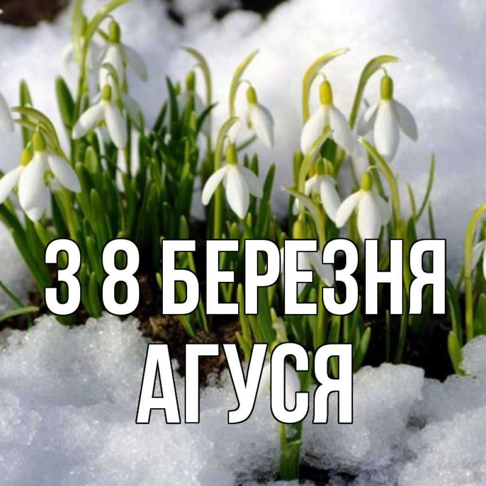 Открытка на каждый день з підписом, Агуся З 8 БЕРЕЗНЯ цветы весенние Прикольна листівка з побажанням онлайн скачати безкоштовно 