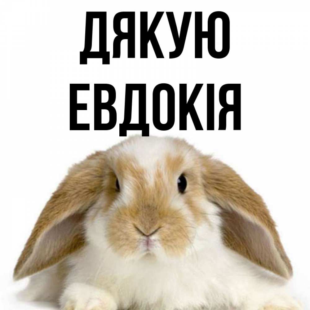 Открытка на каждый день з підписом, Евдокія Дякую коричнево белый заяц Прикольна листівка з побажанням онлайн скачати безкоштовно 