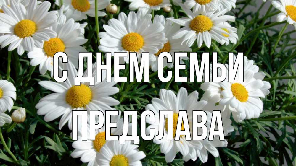 Открытка на каждый день з підписом, Предслава С днем семьи с днем семьи Прикольна листівка з побажанням онлайн скачати безкоштовно 