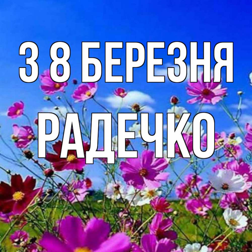Открытка на каждый день з підписом, Радечко З 8 БЕРЕЗНЯ цветы Прикольна листівка з побажанням онлайн скачати безкоштовно 