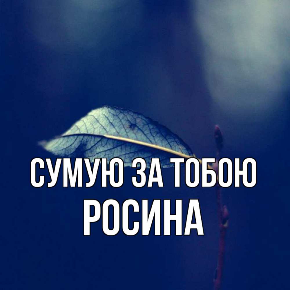 Открытка на каждый день з підписом, Росина Сумую за тобою одна ветка 1 Прикольна листівка з побажанням онлайн скачати безкоштовно 