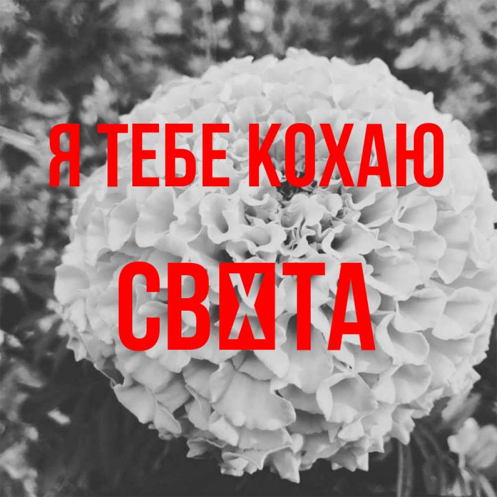 Открытка на каждый день з підписом, Свєта Я тебе кохаю подпись Прикольна листівка з побажанням онлайн скачати безкоштовно 