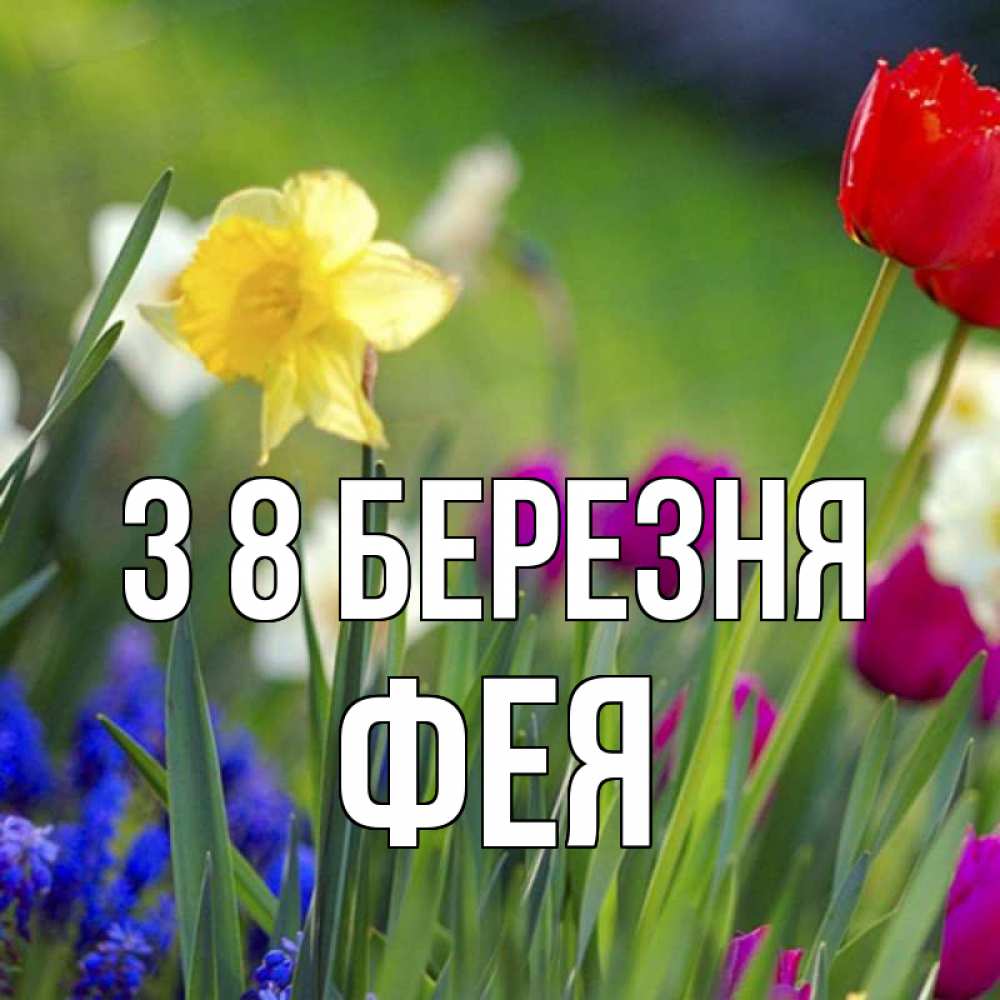 Открытка на каждый день з підписом, Фея З 8 БЕРЕЗНЯ международный женский день 3 Прикольна листівка з побажанням онлайн скачати безкоштовно 