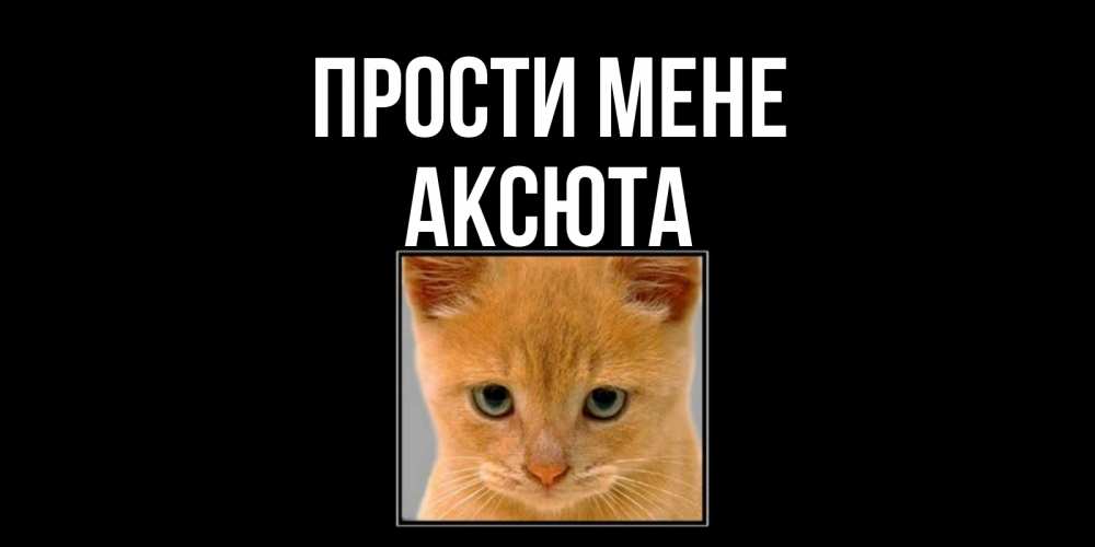 Открытка на каждый день з підписом, Аксюта Прости мене рыжий грустный кот просит прощения Прикольна листівка з побажанням онлайн скачати безкоштовно 
