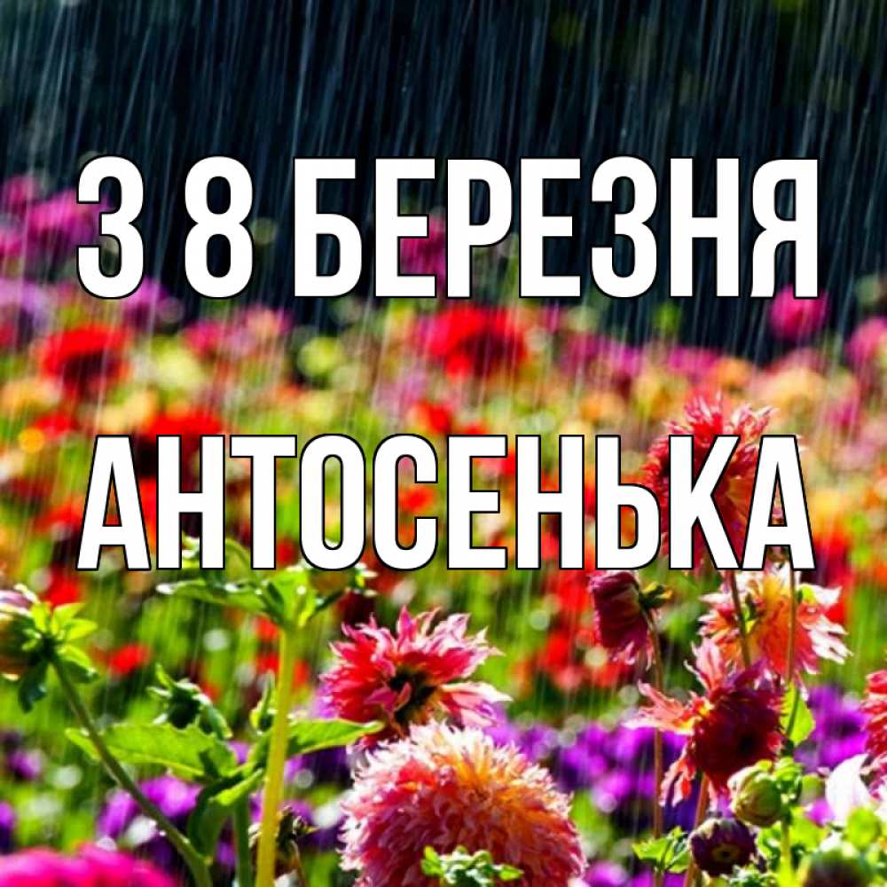 Открытка на каждый день з підписом, Антосенька З 8 БЕРЕЗНЯ цветы под дождиком к международному женскому дню Прикольна листівка з побажанням онлайн скачати безкоштовно 