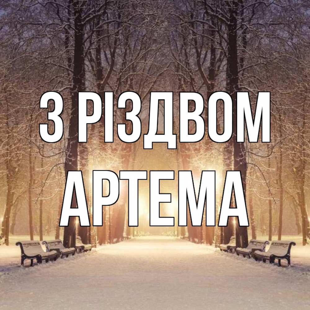 Открытка на каждый день з підписом, Артема З Різдвом зима, парк, фонарь, лес Прикольна листівка з побажанням онлайн скачати безкоштовно 