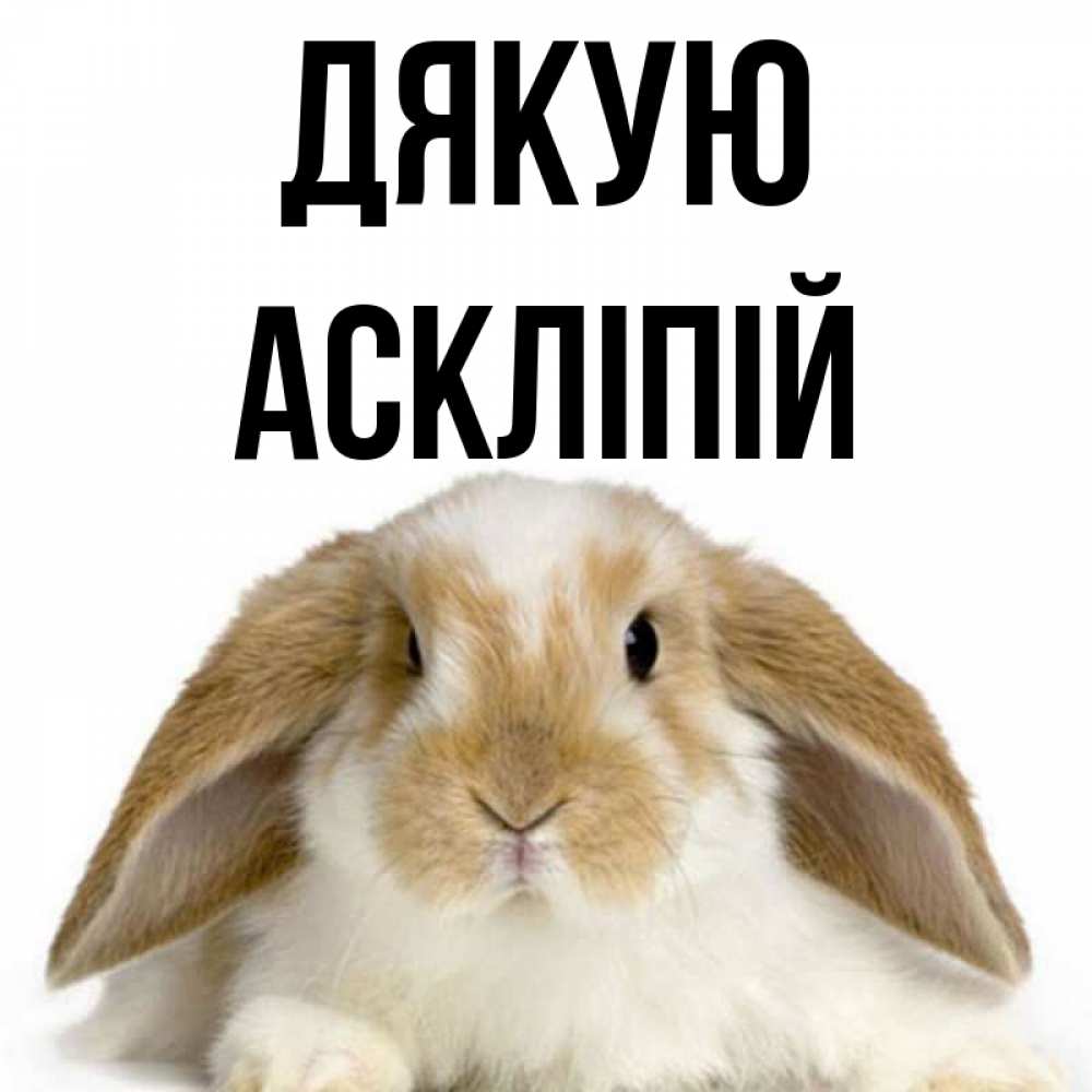 Открытка на каждый день з підписом, Аскліпій Дякую коричнево белый заяц Прикольна листівка з побажанням онлайн скачати безкоштовно 