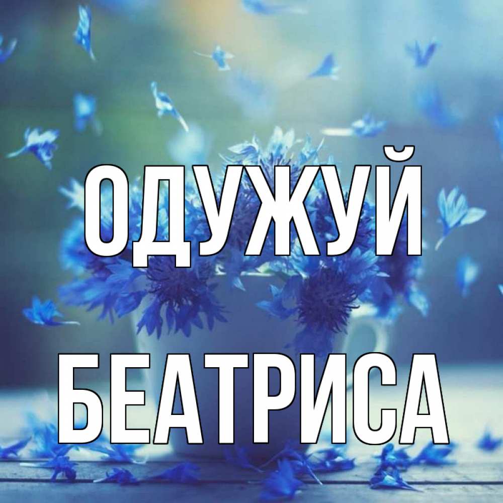 Открытка на каждый день з підписом, Беатриса Одужуй кружка с зельем и цветами Прикольна листівка з побажанням онлайн скачати безкоштовно 