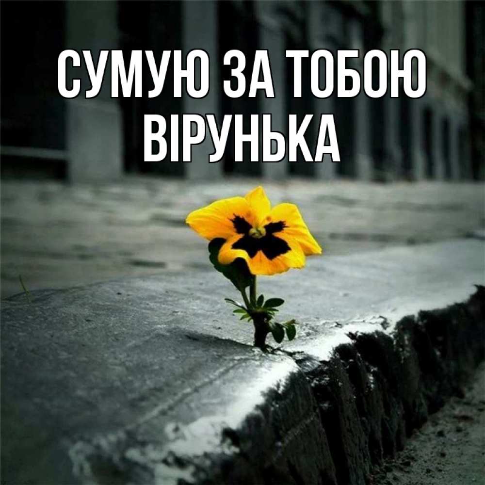 Открытка на каждый день з підписом, Вірунька Сумую за тобою надеюсь будет лучше Прикольна листівка з побажанням онлайн скачати безкоштовно 
