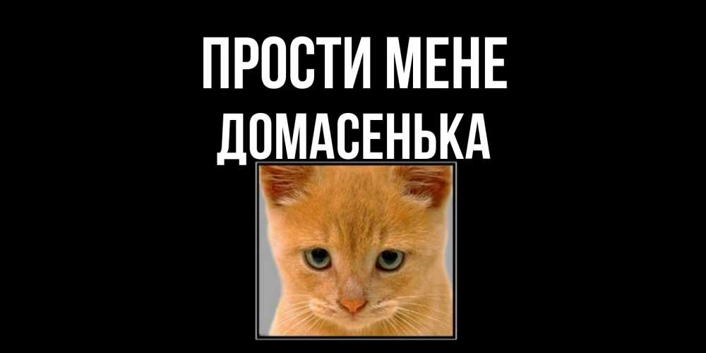 Открытка на каждый день з підписом, Домасенька Прости мене рыжий грустный кот просит прощения Прикольна листівка з побажанням онлайн скачати безкоштовно 