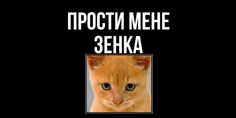 Открытка на каждый день з підписом, Зенка Прости мене рыжий грустный кот просит прощения Прикольна листівка з побажанням онлайн скачати безкоштовно 