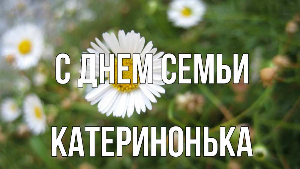 Открытка на каждый день з підписом, Катеринонька С днем семьи с днем семьи Прикольна листівка з побажанням онлайн скачати безкоштовно 