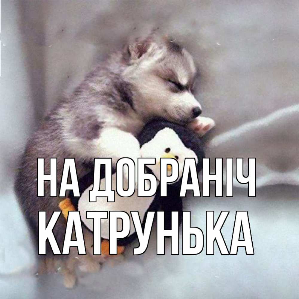 Открытка на каждый день з підписом, Катрунька На добраніч обнимашки щенка и пингвина Прикольна листівка з побажанням онлайн скачати безкоштовно 