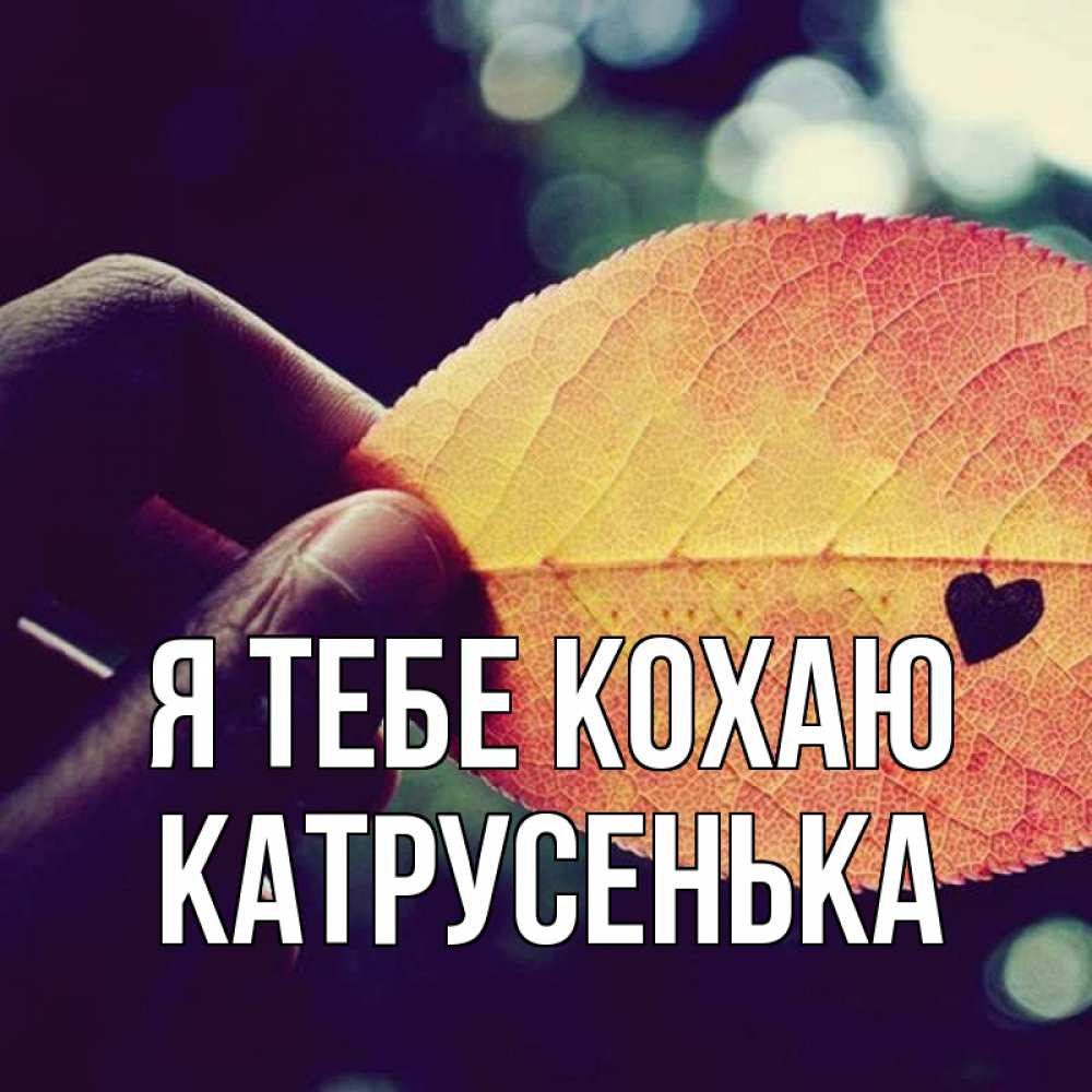 Открытка на каждый день з підписом, Катрусенька Я тебе кохаю держу лист Прикольна листівка з побажанням онлайн скачати безкоштовно 