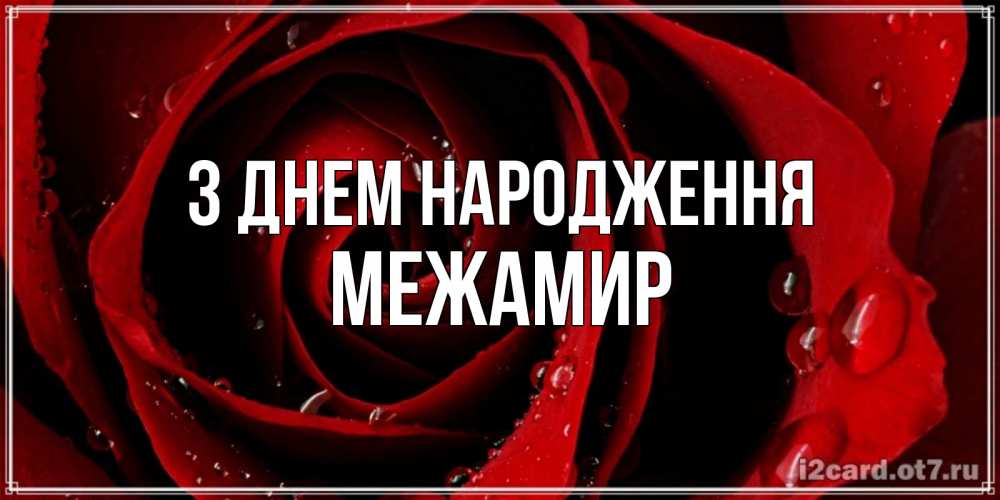 Открытка на каждый день з підписом, Межамир З Днем народження крупная бордовая роза Прикольна листівка з побажанням онлайн скачати безкоштовно 