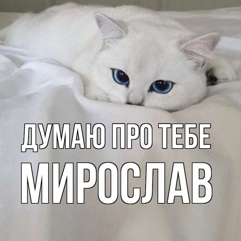 Открытка на каждый день з підписом, Мирослав Думаю про тебе я очень по тебе скучаю и тоскую Прикольна листівка з побажанням онлайн скачати безкоштовно 