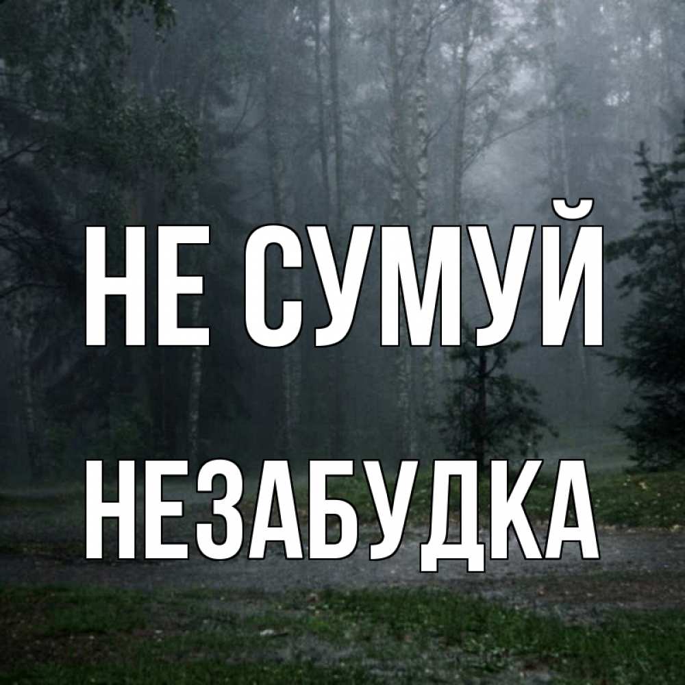 Открытка на каждый день з підписом, Незабудка Не сумуй осень Прикольна листівка з побажанням онлайн скачати безкоштовно 