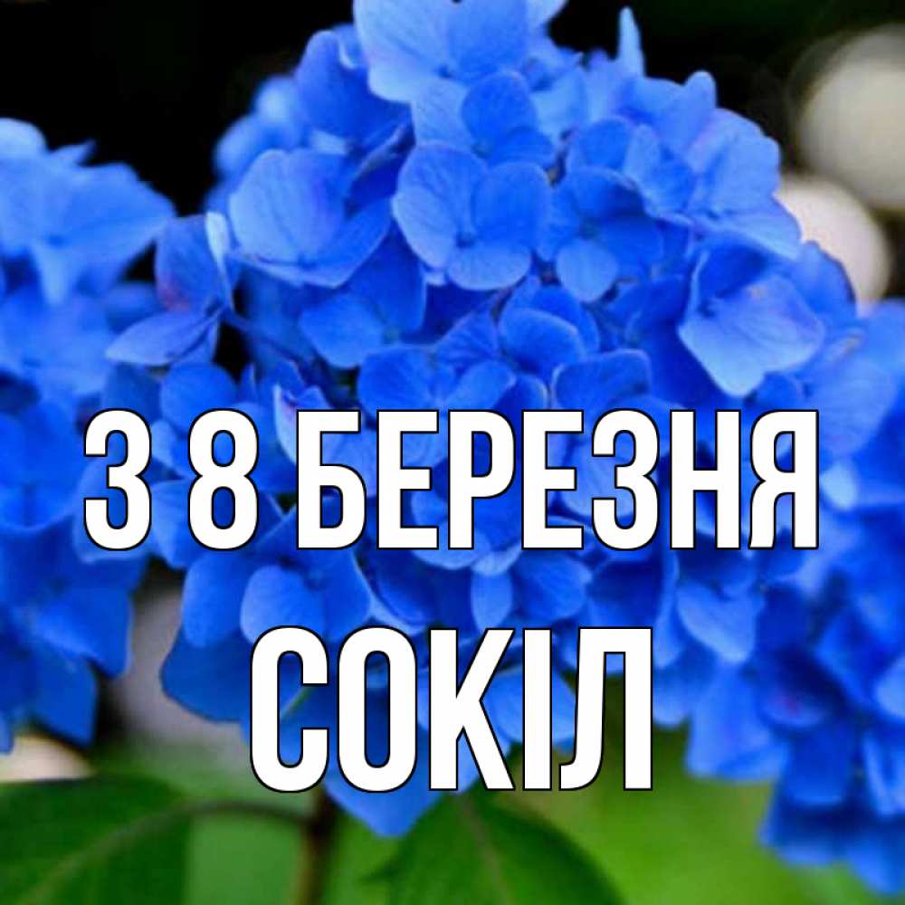 Открытка на каждый день з підписом, Сокіл З 8 БЕРЕЗНЯ синие цветы Прикольна листівка з побажанням онлайн скачати безкоштовно 