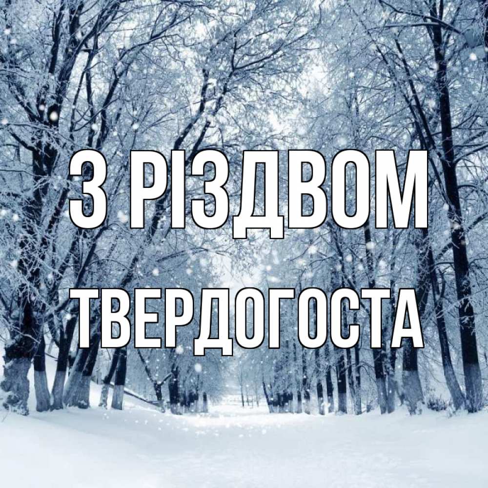 Открытка на каждый день з підписом, Твердогоста З Різдвом снег, лес, парк Прикольна листівка з побажанням онлайн скачати безкоштовно 