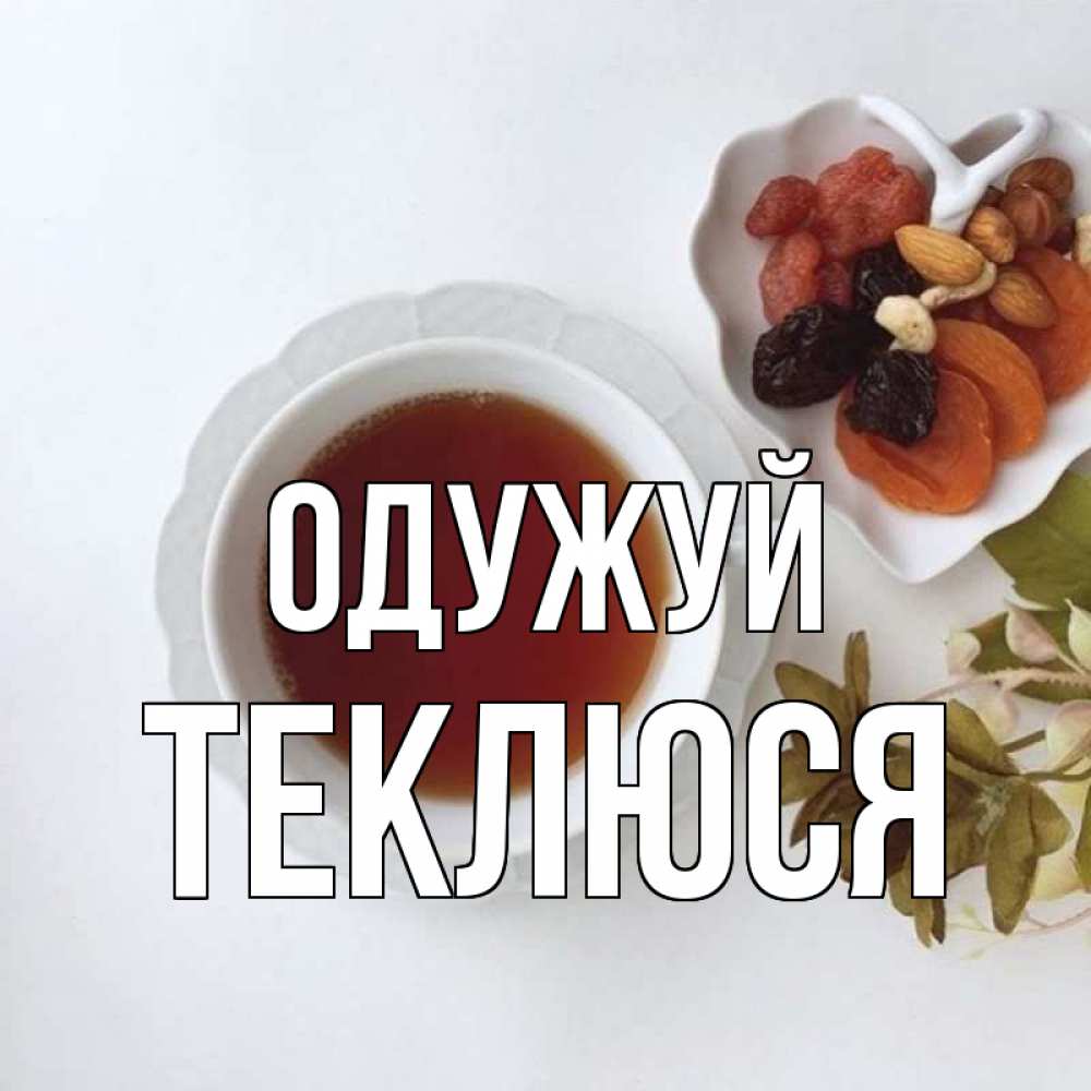 Открытка на каждый день з підписом, Теклюся Одужуй неизвестные растения Прикольна листівка з побажанням онлайн скачати безкоштовно 