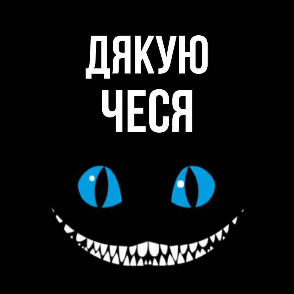 Открытка на каждый день з підписом, Чеся Дякую благодарю от чеширика Прикольна листівка з побажанням онлайн скачати безкоштовно 