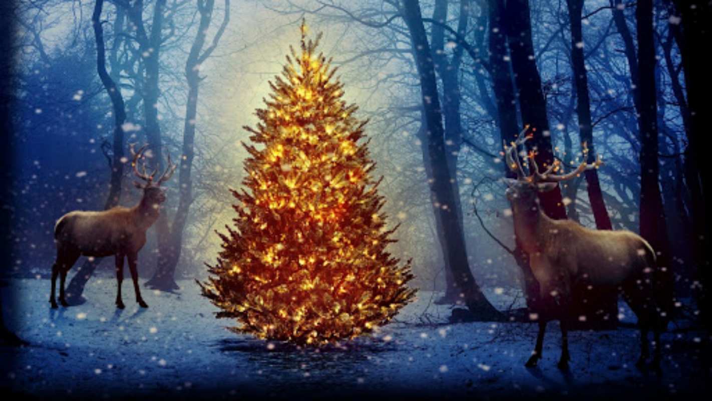 Открытка елка в лесу и олени  олени, новогодняя елка  З Різдвом 