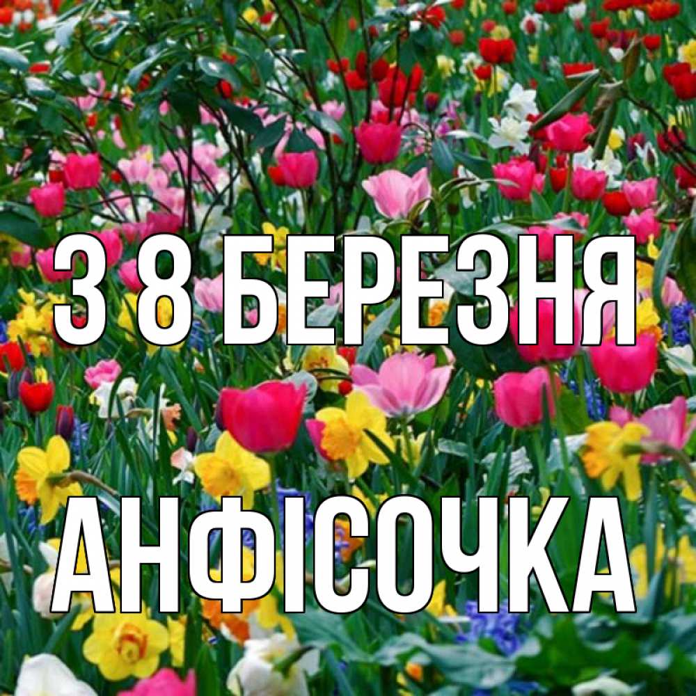 Открытка на каждый день з підписом, Анфісочка З 8 БЕРЕЗНЯ с международным женским днем поздравления для женщины Прикольна листівка з побажанням онлайн скачати безкоштовно 