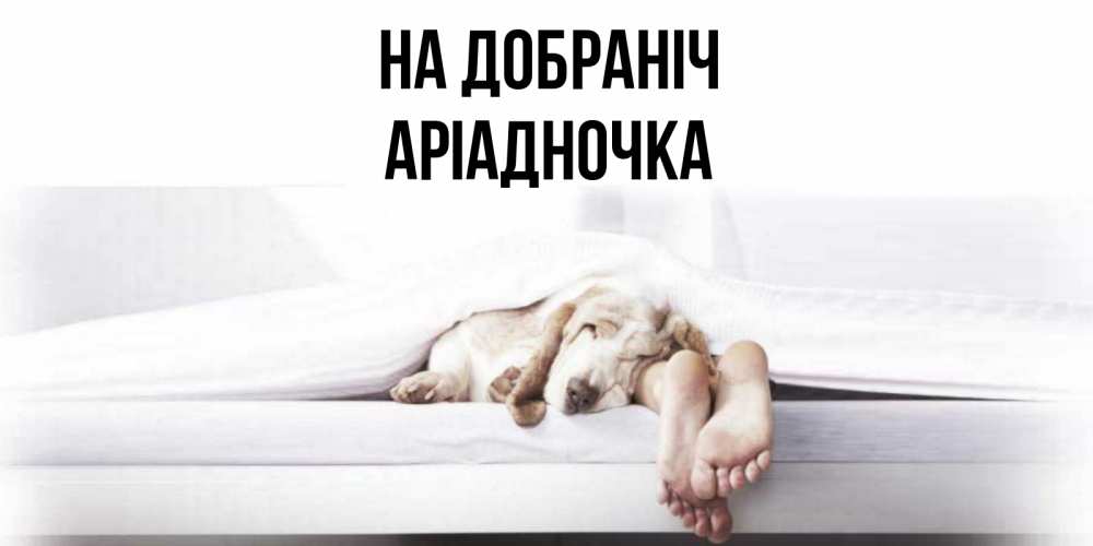 Открытка на каждый день з підписом, Аріадночка На добраніч кровать с собакой пожелание сладких снов и спокойной ночи Прикольна листівка з побажанням онлайн скачати безкоштовно 