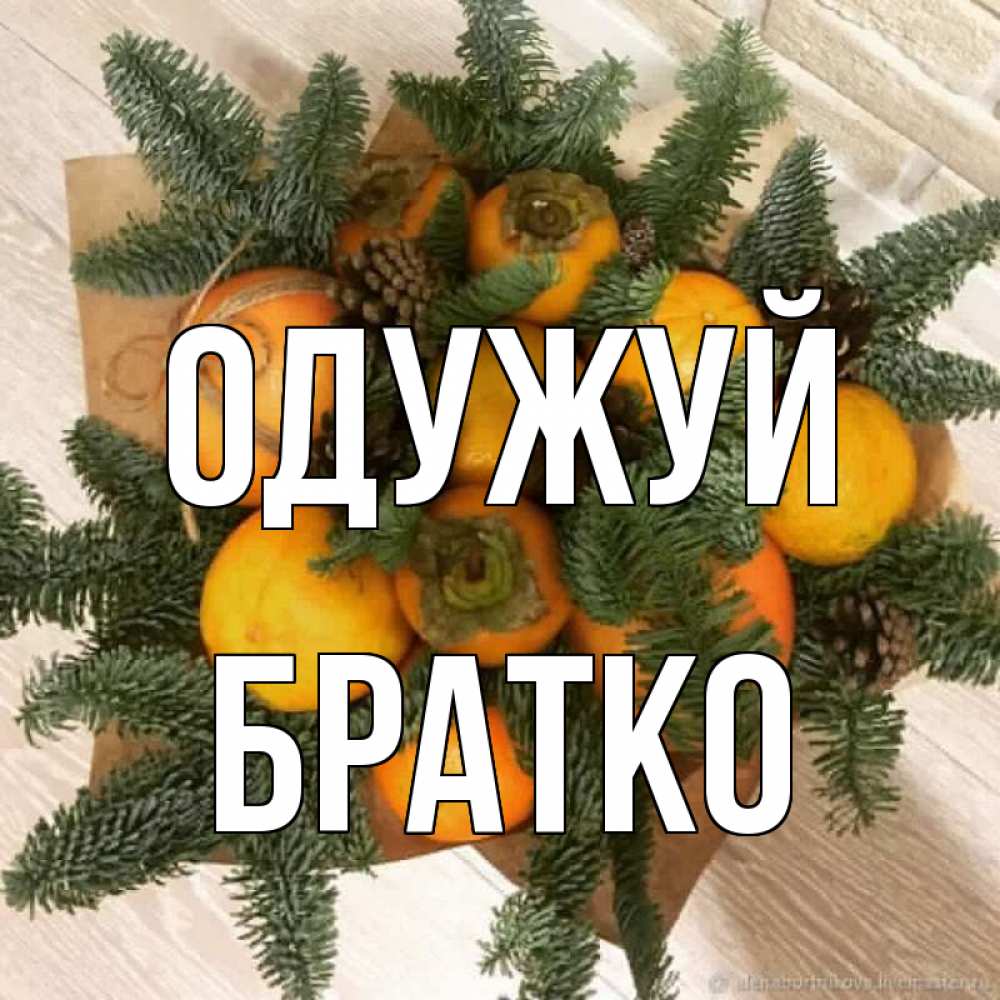 Открытка на каждый день з підписом, Братко Одужуй апельсины и хурьма Прикольна листівка з побажанням онлайн скачати безкоштовно 