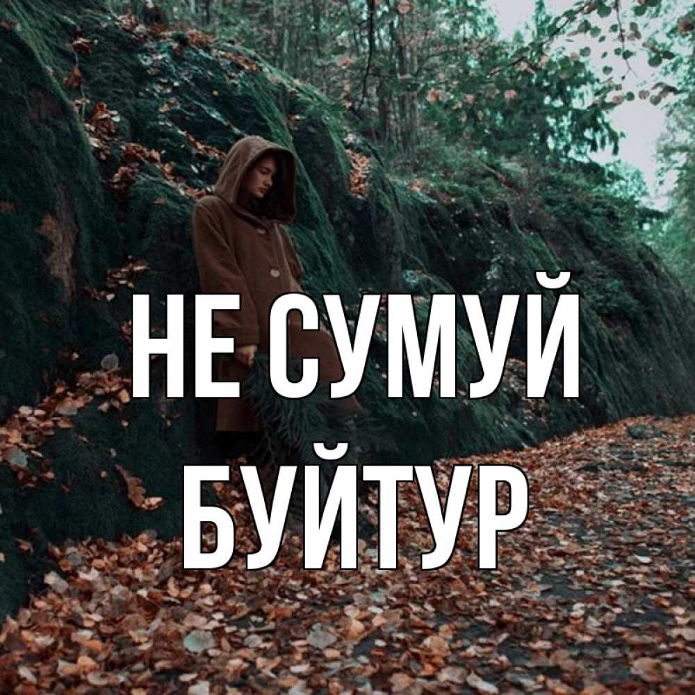 Открытка на каждый день з підписом, Буйтур Не сумуй осенний лес Прикольна листівка з побажанням онлайн скачати безкоштовно 