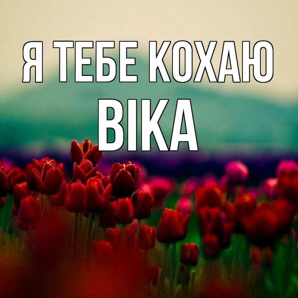 Открытка на каждый день з підписом, Віка Я тебе кохаю тюльпаны 4 Прикольна листівка з побажанням онлайн скачати безкоштовно 