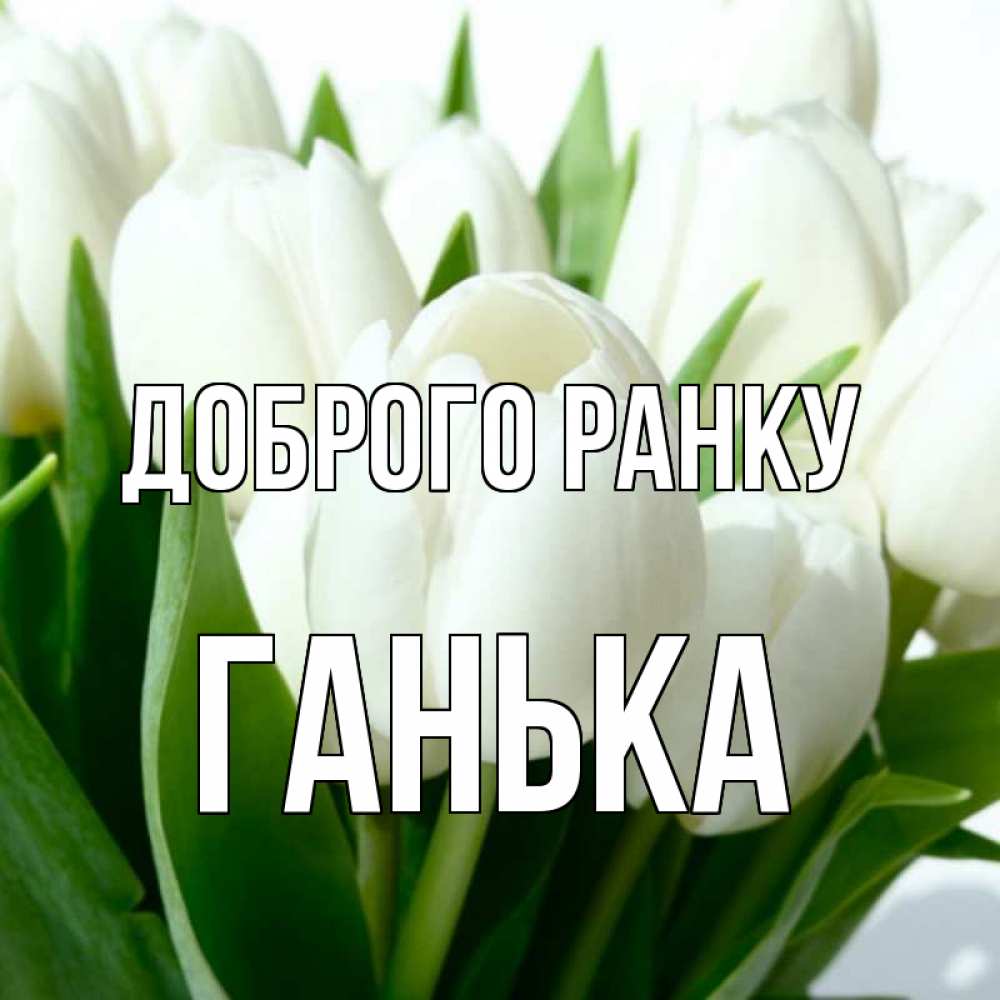 Открытка на каждый день з підписом, Ганька Доброго ранку открытки на каждый день по именам Прикольна листівка з побажанням онлайн скачати безкоштовно 