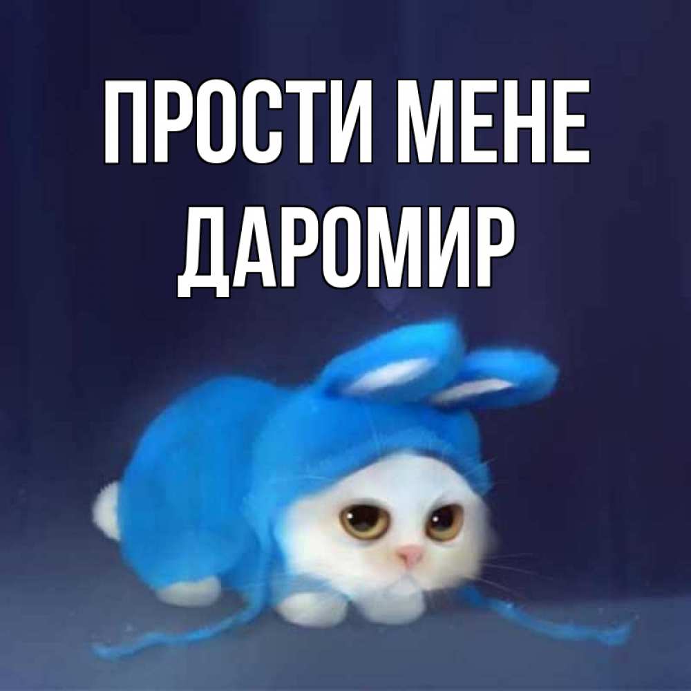 Открытка на каждый день з підписом, Даромир Прости мене невинный котозай просит прощения Прикольна листівка з побажанням онлайн скачати безкоштовно 