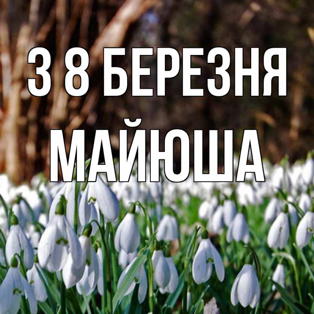 Открытка на каждый день з підписом, Майюша З 8 БЕРЕЗНЯ с подснежниками 1 Прикольна листівка з побажанням онлайн скачати безкоштовно 