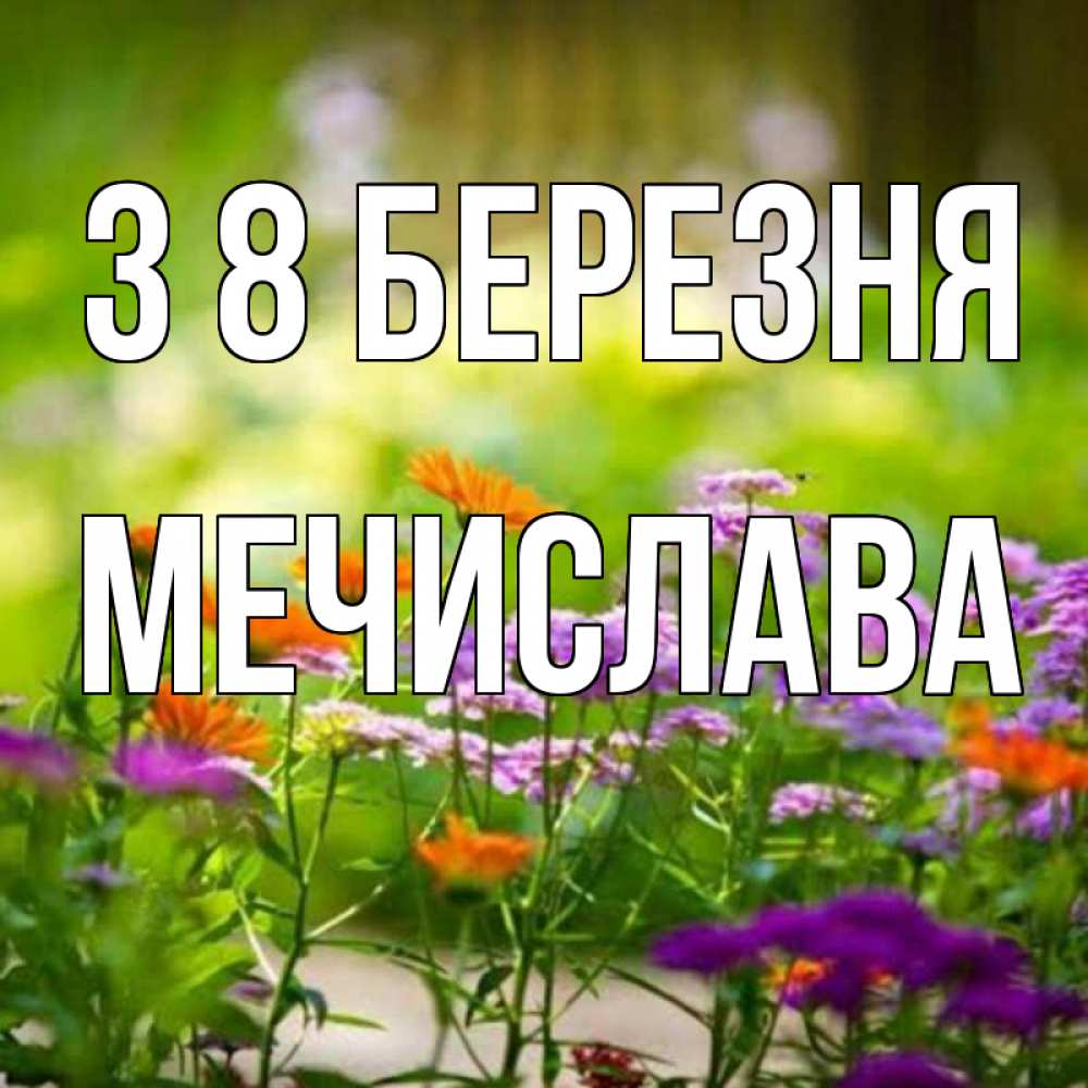 Открытка на каждый день з підписом, Мечислава З 8 БЕРЕЗНЯ цветы Прикольна листівка з побажанням онлайн скачати безкоштовно 
