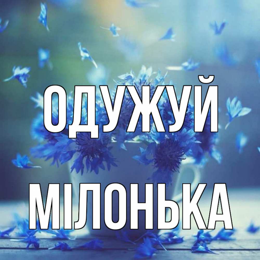 Открытка на каждый день з підписом, Мілонька Одужуй кружка с зельем и цветами Прикольна листівка з побажанням онлайн скачати безкоштовно 