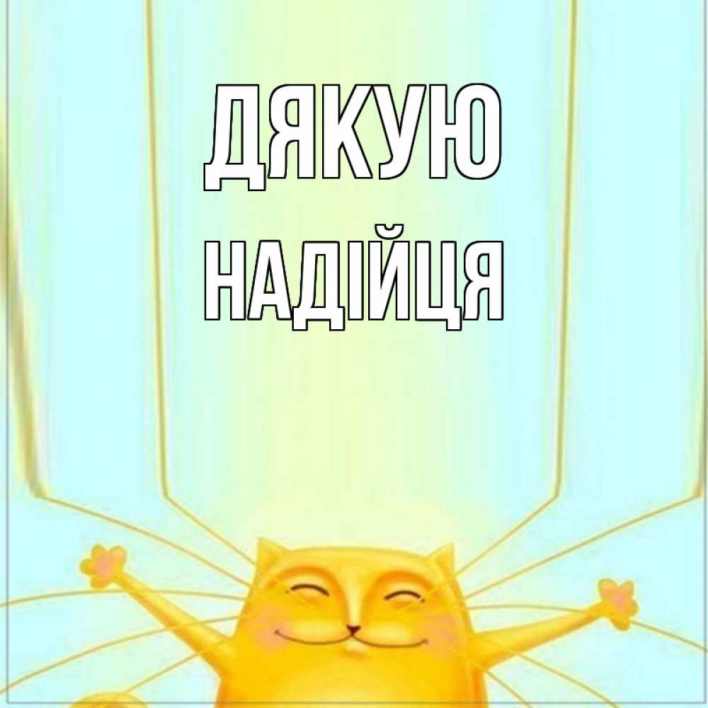 Открытка на каждый день з підписом, Надійця Дякую кот с усами благодарит Прикольна листівка з побажанням онлайн скачати безкоштовно 