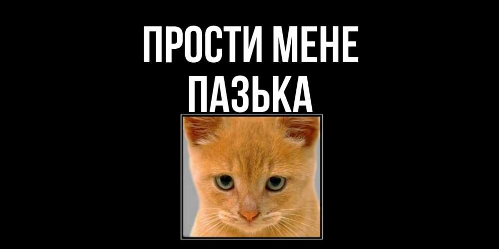 Открытка на каждый день з підписом, Пазька Прости мене рыжий грустный кот просит прощения Прикольна листівка з побажанням онлайн скачати безкоштовно 