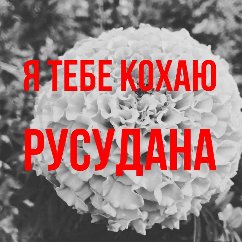 Открытка на каждый день з підписом, Русудана Я тебе кохаю подпись Прикольна листівка з побажанням онлайн скачати безкоштовно 
