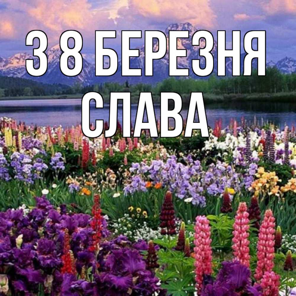 Открытка на каждый день з підписом, Слава З 8 БЕРЕЗНЯ международный женский день Прикольна листівка з побажанням онлайн скачати безкоштовно 