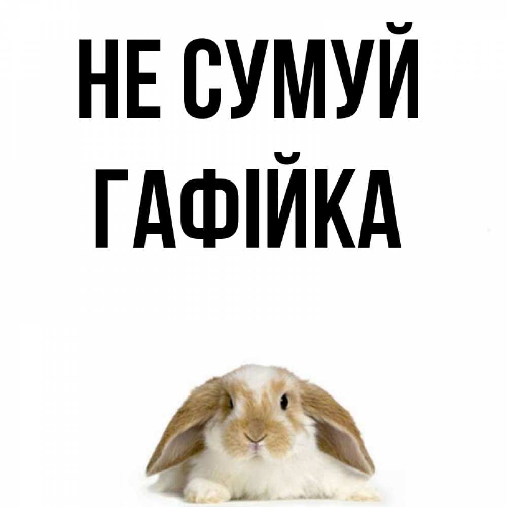 Открытка на каждый день з підписом, Гафійка Не сумуй коричнево белый заяц с большими ушками Прикольна листівка з побажанням онлайн скачати безкоштовно 