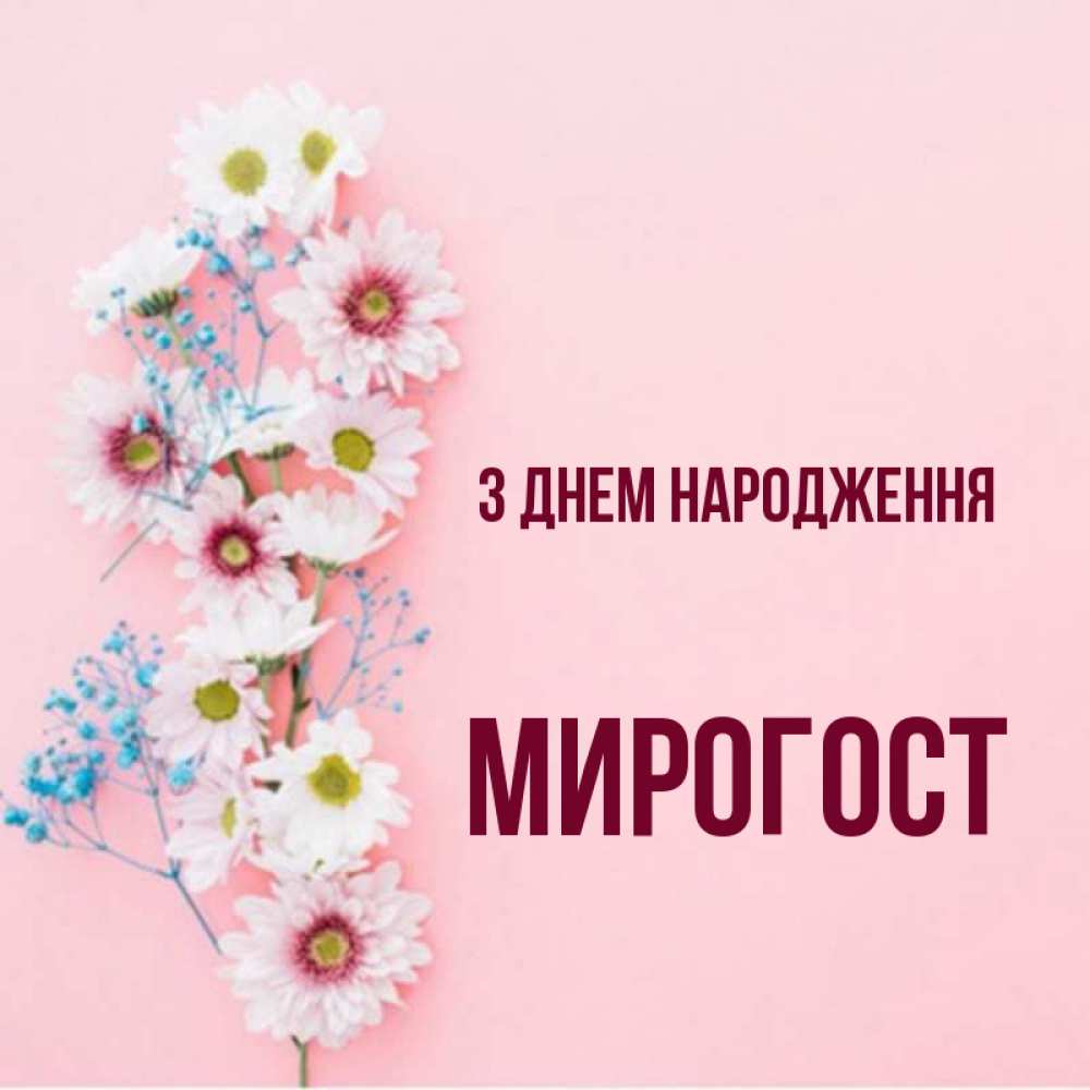 Открытка на каждый день з підписом, Мирогост З Днем народження Родная моя с днем рождения тебя картинка с цветами белыми и голубыми Прикольна листівка з побажанням онлайн скачати безкоштовно 