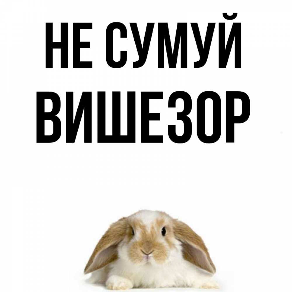 Открытка на каждый день з підписом, Вишезор Не сумуй коричнево белый заяц с большими ушками Прикольна листівка з побажанням онлайн скачати безкоштовно 
