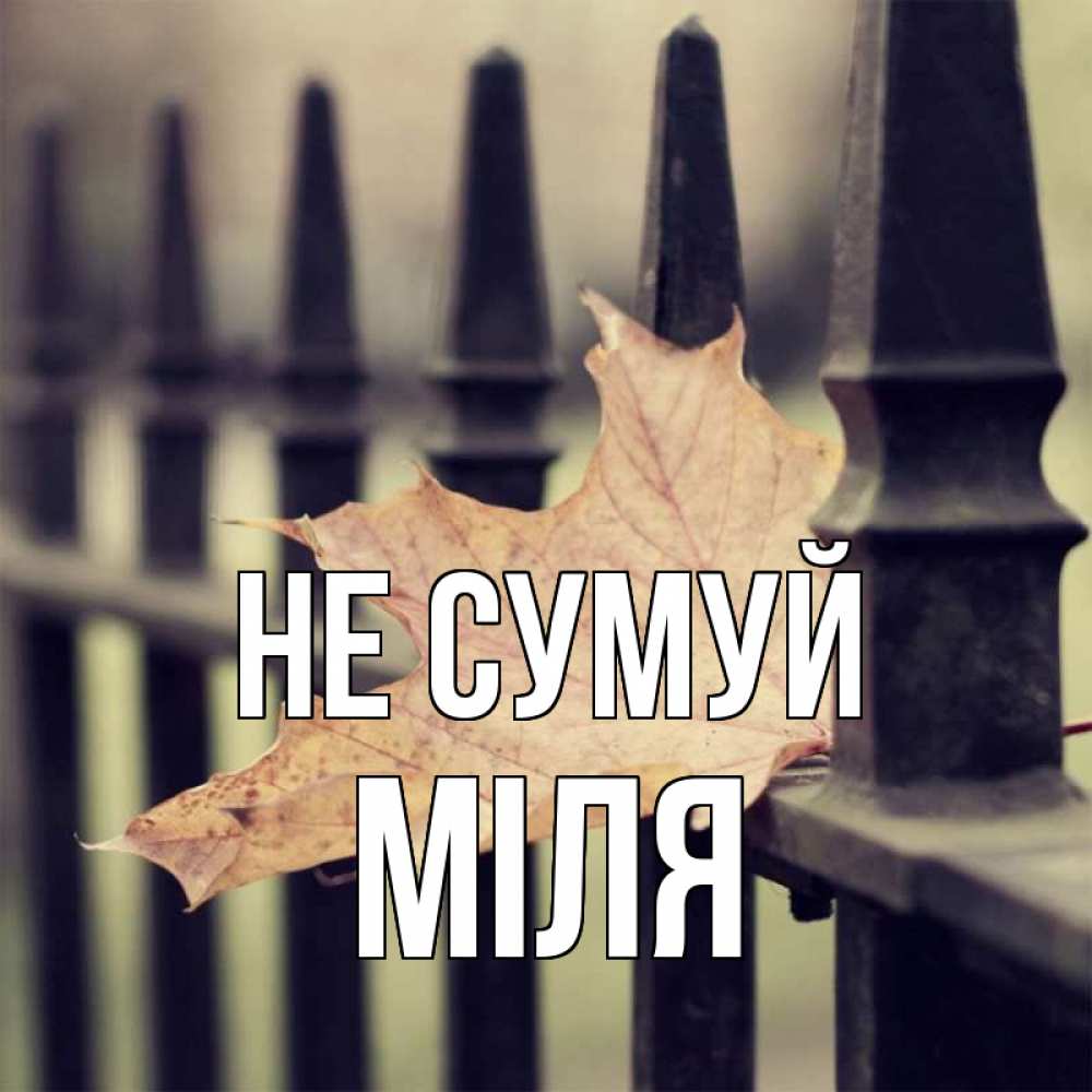 Открытка на каждый день з підписом, Міля Не сумуй лист клена Прикольна листівка з побажанням онлайн скачати безкоштовно 
