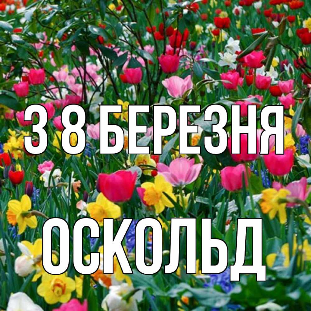 Открытка на каждый день з підписом, Оскольд З 8 БЕРЕЗНЯ с международным женским днем поздравления для женщины Прикольна листівка з побажанням онлайн скачати безкоштовно 