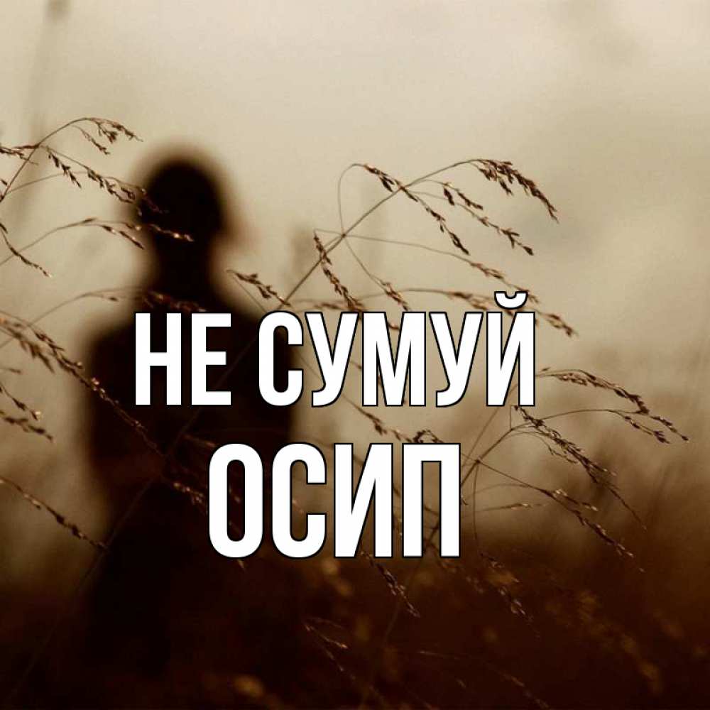 Открытка на каждый день з підписом, Осип Не сумуй грусть Прикольна листівка з побажанням онлайн скачати безкоштовно 