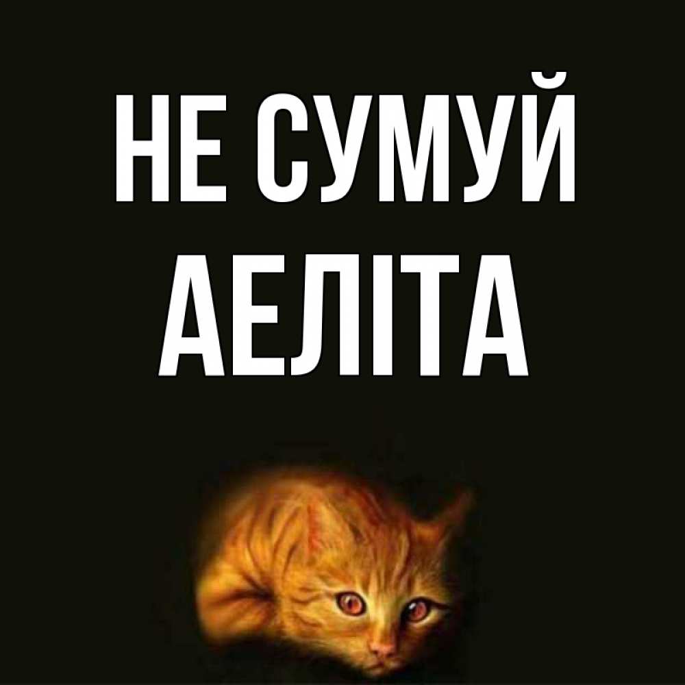 Открытка на каждый день з підписом, Аеліта Не сумуй лежащий кот в темноте Прикольна листівка з побажанням онлайн скачати безкоштовно 