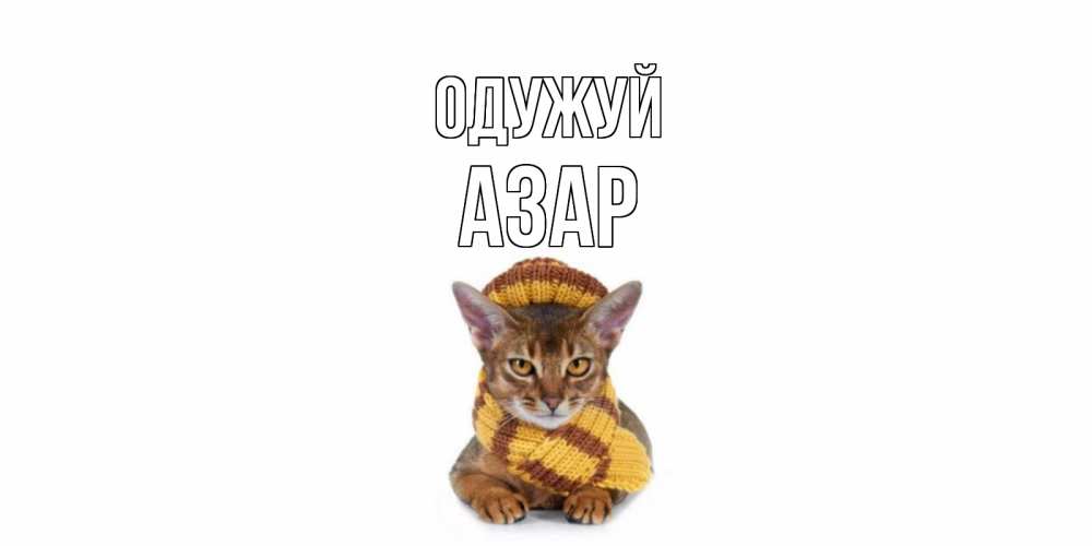 Открытка на каждый день з підписом, Азар Одужуй родные не болейте Прикольна листівка з побажанням онлайн скачати безкоштовно 